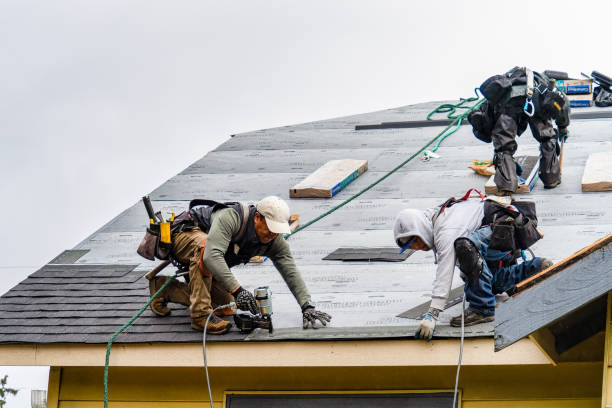 Professional Gutter Installation technician working in Almelund, MN